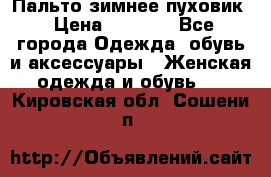 Пальто зимнее пуховик › Цена ­ 2 500 - Все города Одежда, обувь и аксессуары » Женская одежда и обувь   . Кировская обл.,Сошени п.